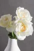 Flower Open Rose Cream S/6