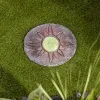 Sun Glowing Stepping Stone