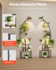 Plant Stand Indoor with Grow Lights, 65.5 in Tall 7-Tiered Lighted Plant Shelf, 2 Pack Metal Corner Plants Holder, 3 Timer & 10 Brightness